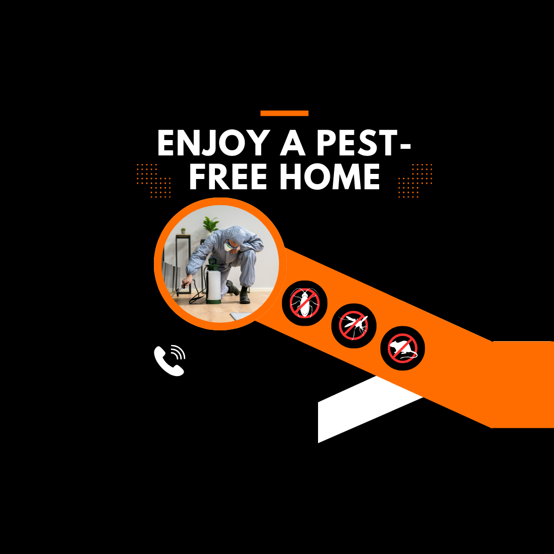 Who Handles Pest Control in Maryland Rentals? Tenant vs. Landlord Responsibilities